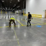 Charlotte NC parking lot striping project photo